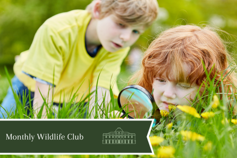 children discovering scampston gardens